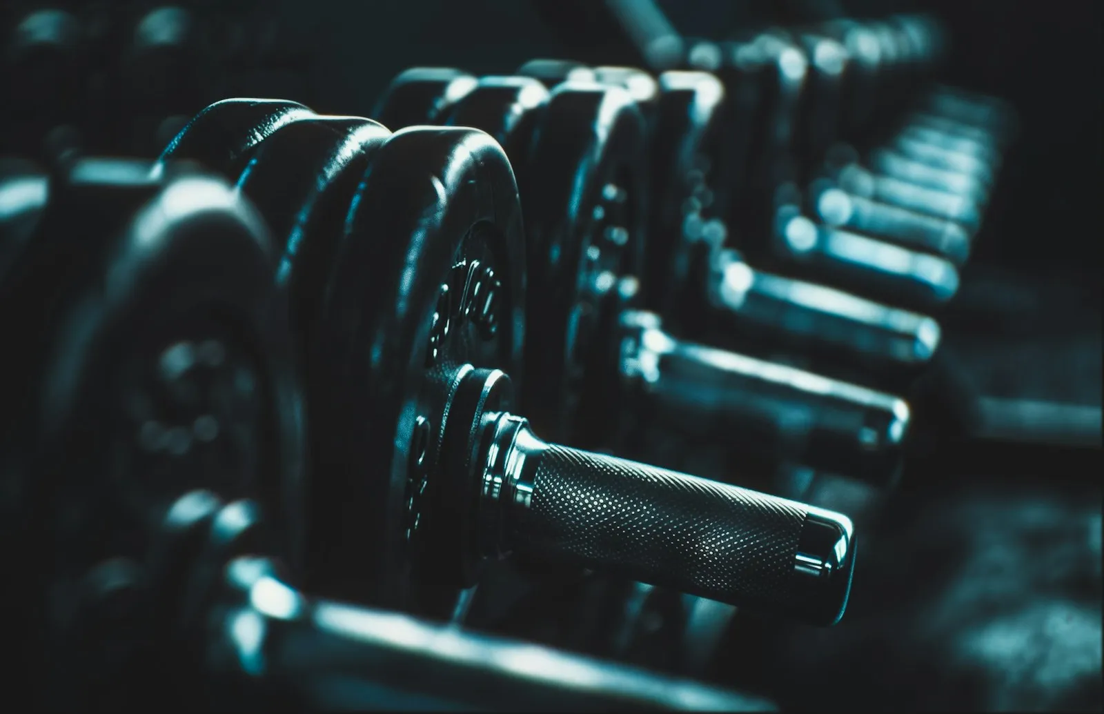 A row of dumbbells on a rack